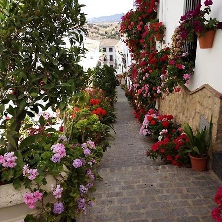Casa De Las Flores - A Picture Perfect Location! El Gastor Dış mekan fotoğraf