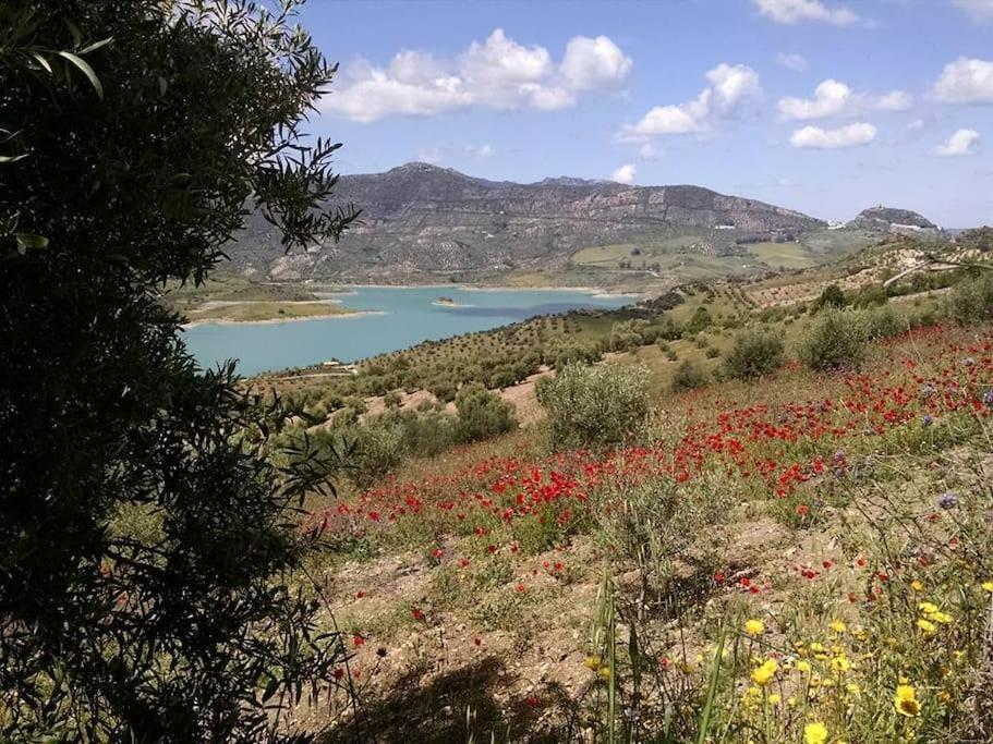 Casa De Las Flores - A Picture Perfect Location! El Gastor Dış mekan fotoğraf