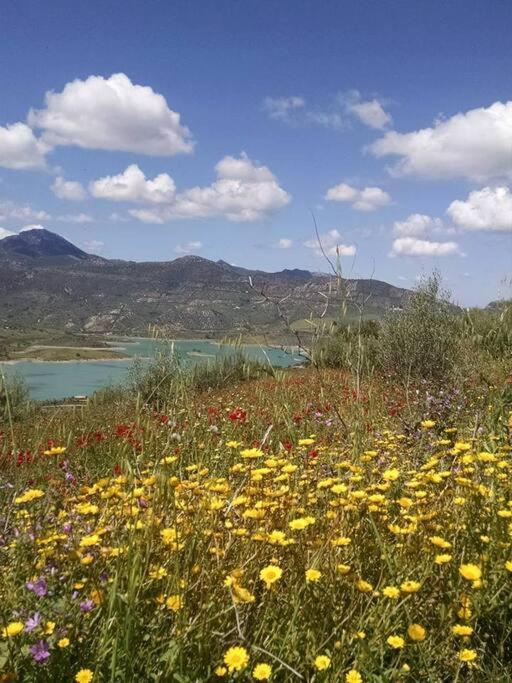 Casa De Las Flores - A Picture Perfect Location! El Gastor Dış mekan fotoğraf