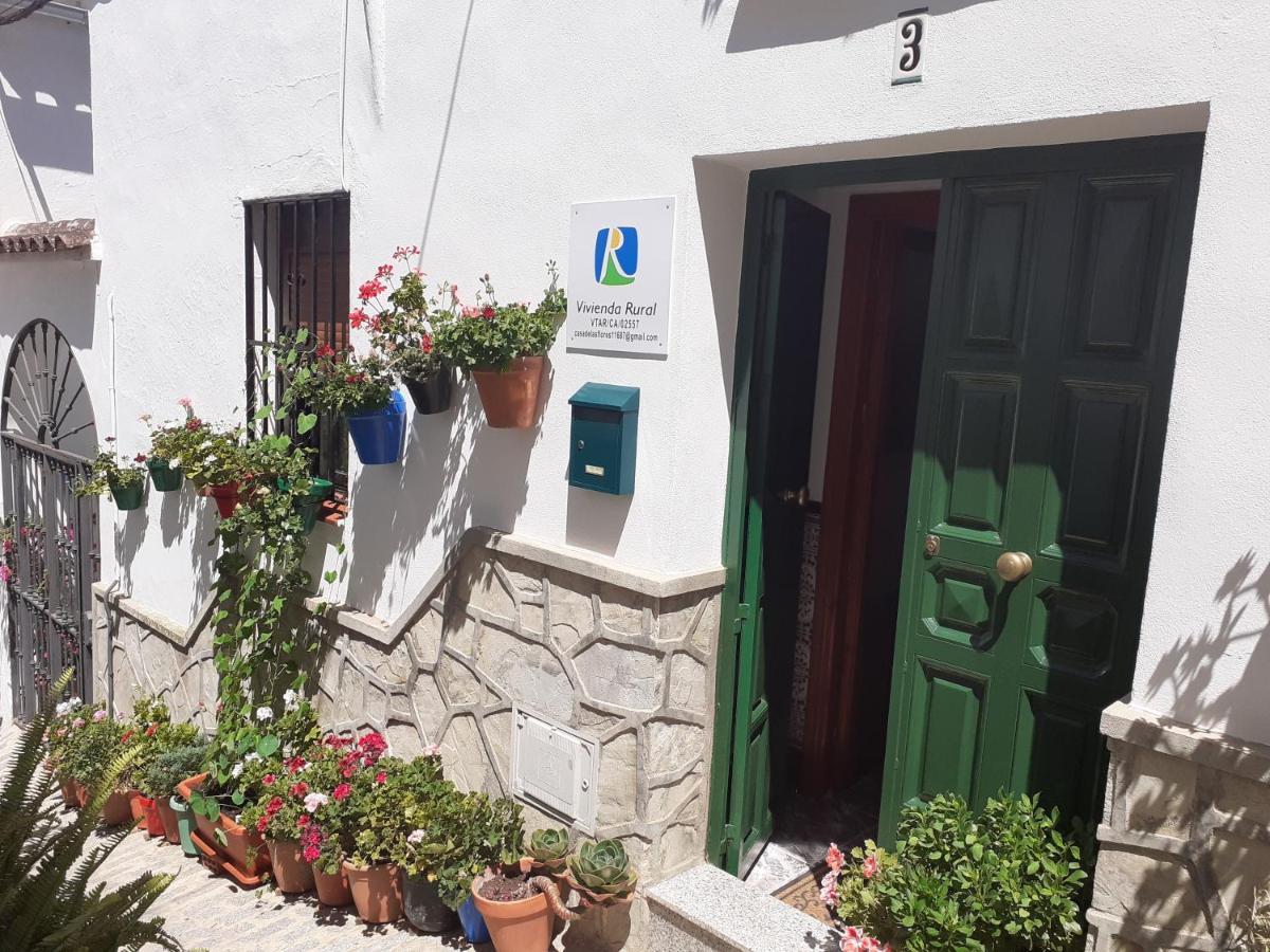 Casa De Las Flores - A Picture Perfect Location! El Gastor Dış mekan fotoğraf