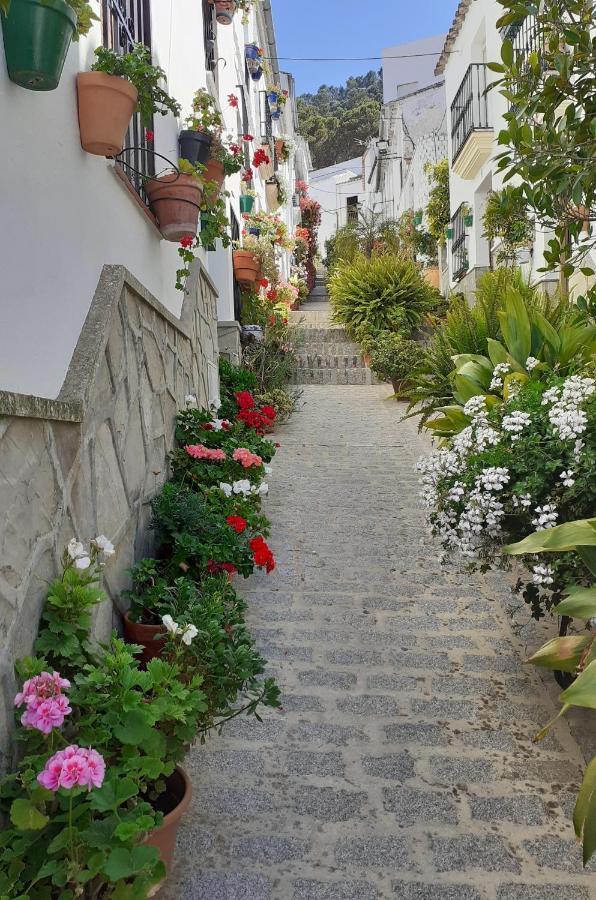 Casa De Las Flores - A Picture Perfect Location! El Gastor Dış mekan fotoğraf