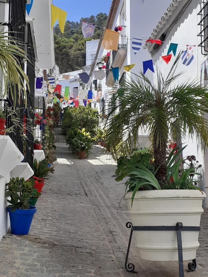 Casa De Las Flores - A Picture Perfect Location! El Gastor Dış mekan fotoğraf