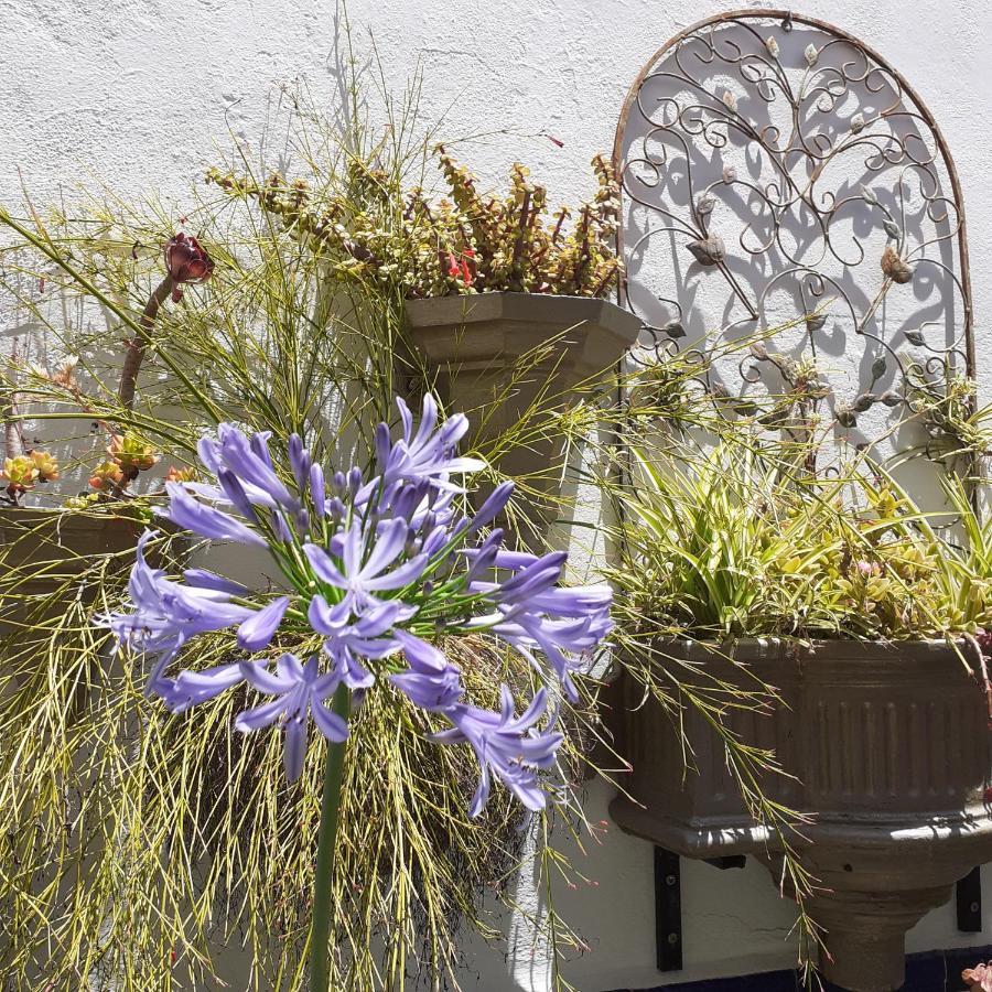 Casa De Las Flores - A Picture Perfect Location! El Gastor Dış mekan fotoğraf