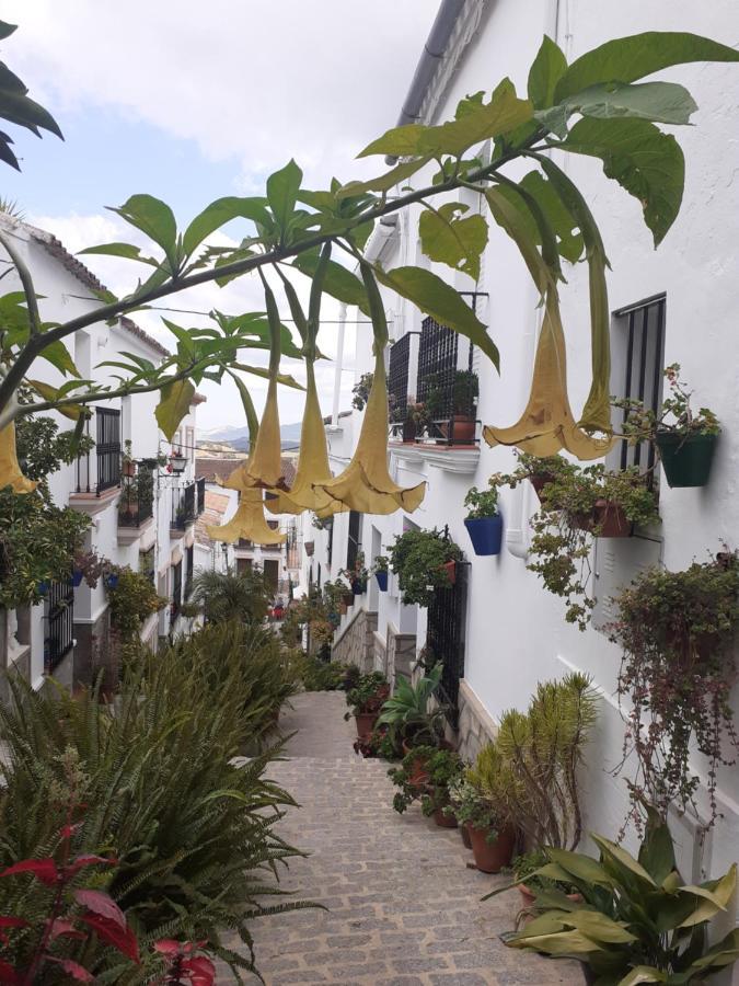 Casa De Las Flores - A Picture Perfect Location! El Gastor Dış mekan fotoğraf