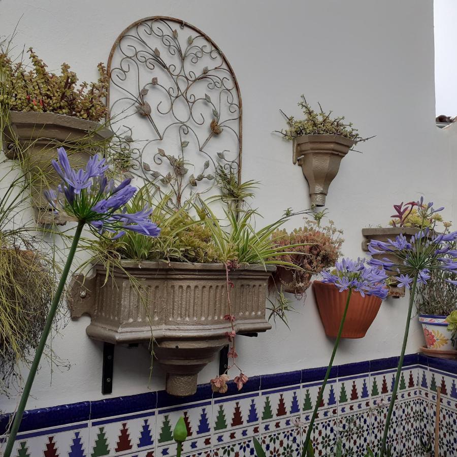 Casa De Las Flores - A Picture Perfect Location! El Gastor Dış mekan fotoğraf