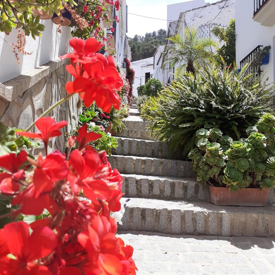 Casa De Las Flores - A Picture Perfect Location! El Gastor Dış mekan fotoğraf